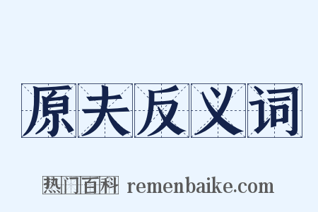 原夫反义词是什么意思的图片